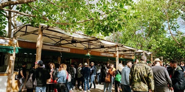 Mostra Vinos Proava